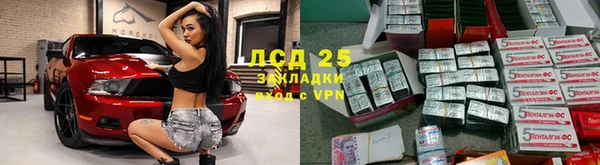 ПСИЛОЦИБИНОВЫЕ ГРИБЫ Белокуриха