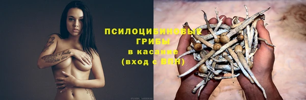 спайс Беломорск