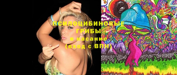 ПСИЛОЦИБИНОВЫЕ ГРИБЫ Белокуриха