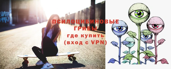 ПСИЛОЦИБИНОВЫЕ ГРИБЫ Белокуриха